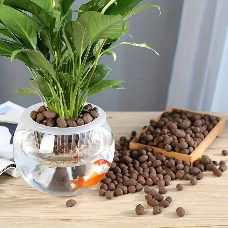 Bolas de terracota ligeras y t - Aquarium Plants reseña y precio