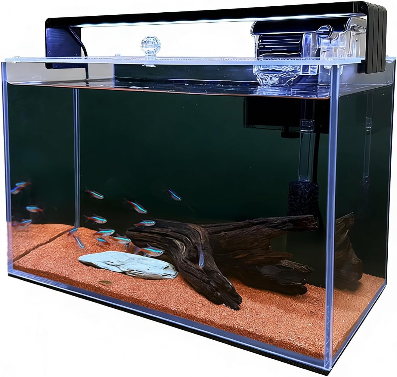 Kit de inicio para acuarios Na - Betta Fish Tank reseña y precio
