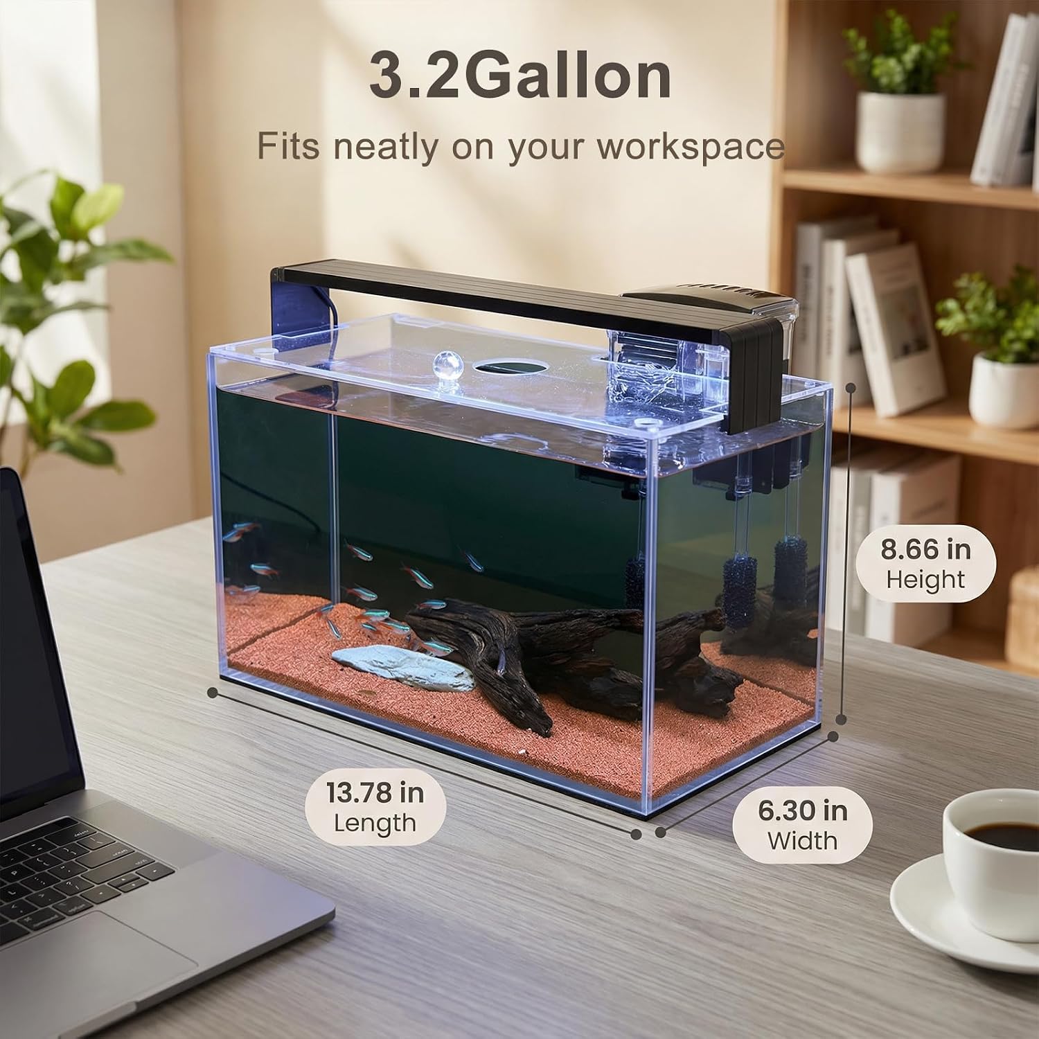 Kit de inicio para acuarios Na - Betta Fish Tank reseña y precio