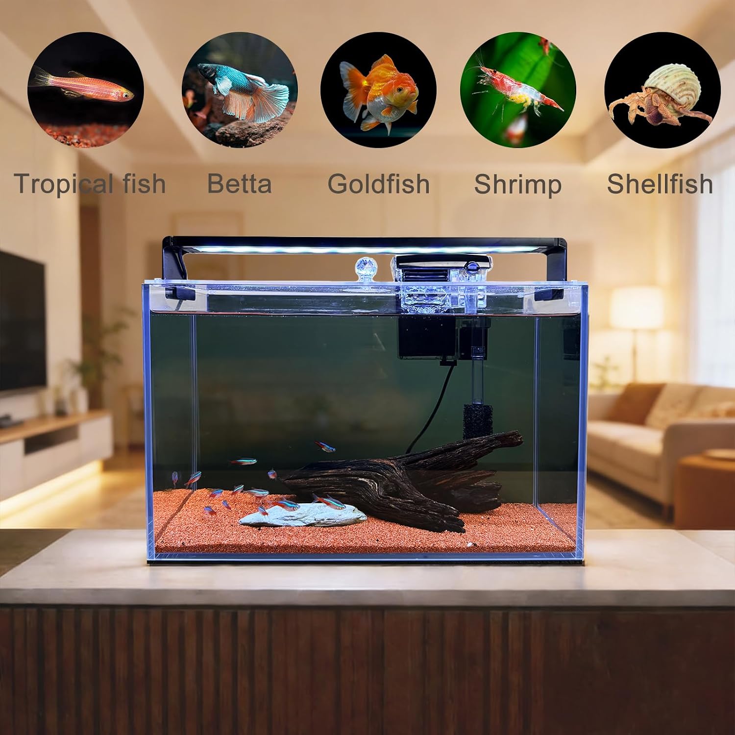 Kit de inicio para acuarios Na - Betta Fish Tank reseña y precio