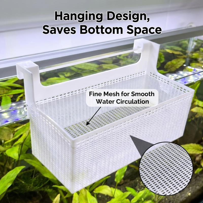 Caja de aislamiento para cría  - Betta Fish Tank reseña y precio