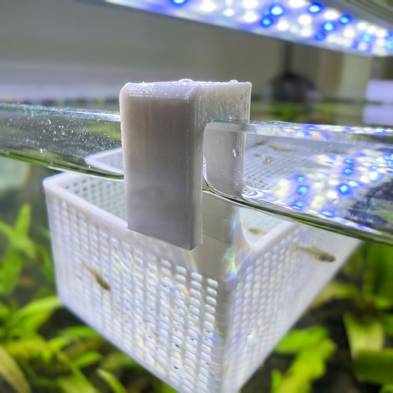 Caja de aislamiento para cría  - Betta Fish Tank reseña y precio