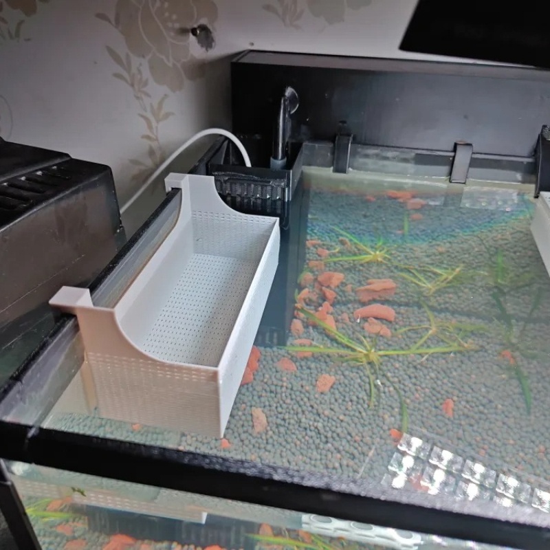 Caja de aislamiento para cría  - Betta Fish Tank reseña y precio
