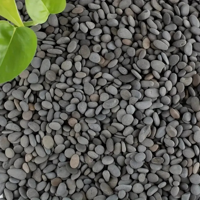 20 piezas de rocas de río natu - Fish Tank Gravel reseña y precio