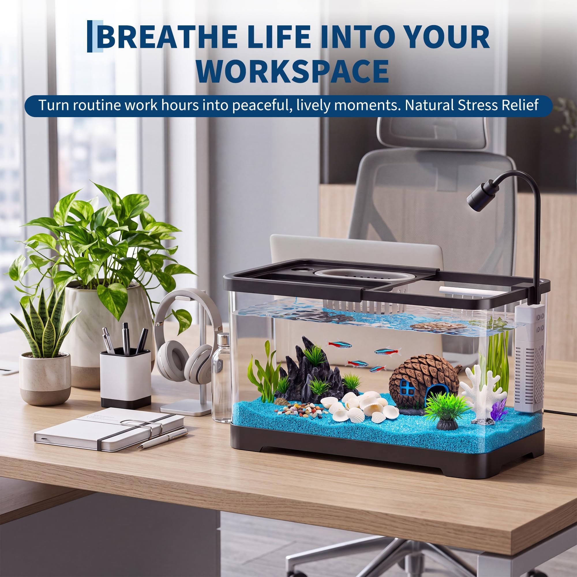 Kit de Inicio para Pecera con  - Betta Fish Tank reseña y precio