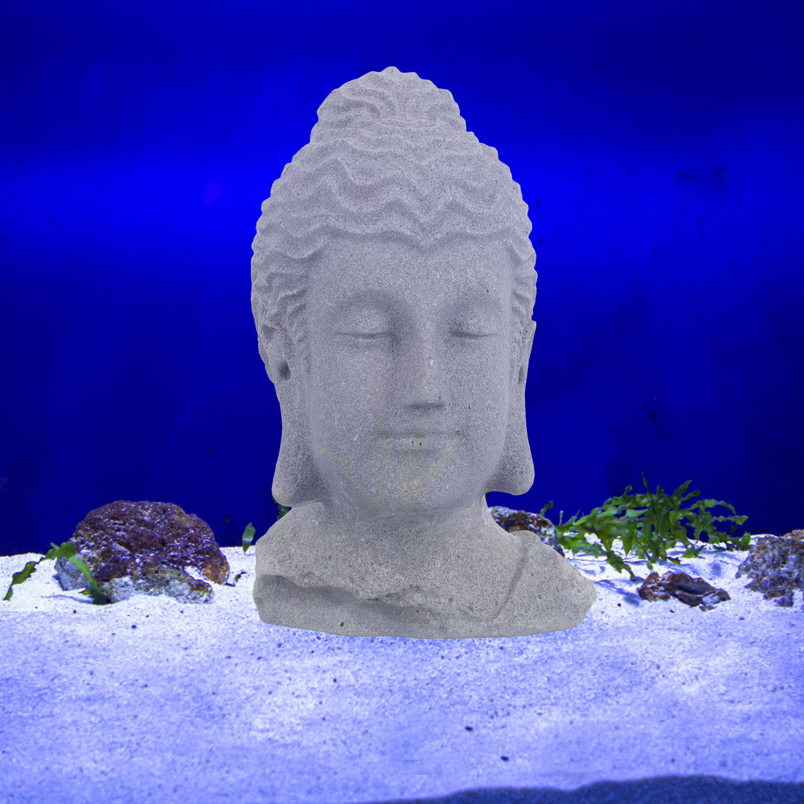 Estatua de cabeza de Buda medi - Fish Aquarium Home reseña y precio