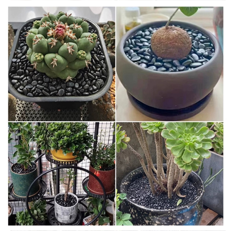 Piedras de río pulidas blancas - Fish Tank Gravel reseña y precio