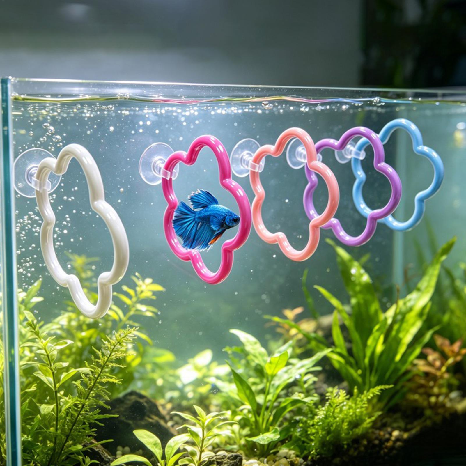 Juguetes para Peces Betta, 5 P - Aquarium Fish Betta reseña y precio