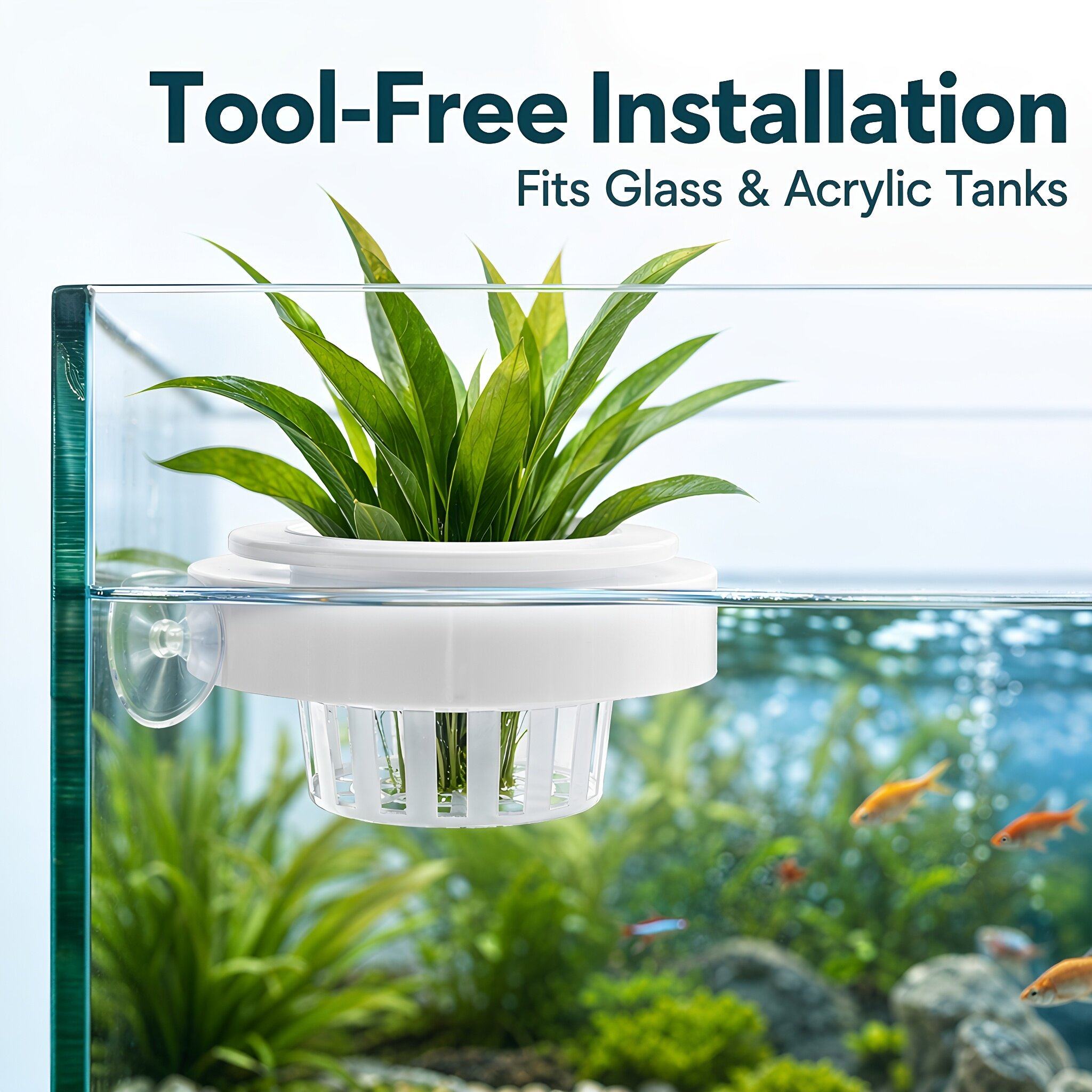 4 unidades de cestas flotantes - Aquarium Plants reseña y precio