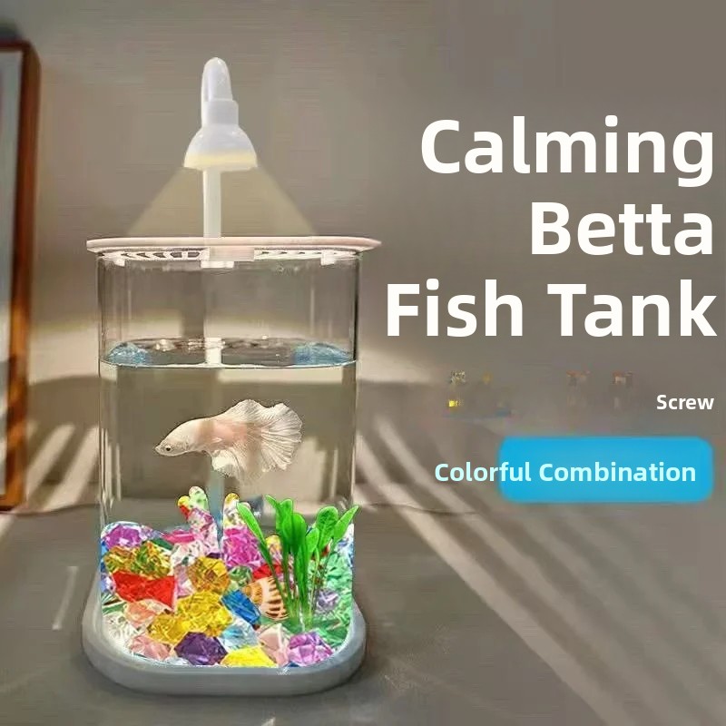 Acuario Transparente Completo  - Betta Fish Tank reseña y precio