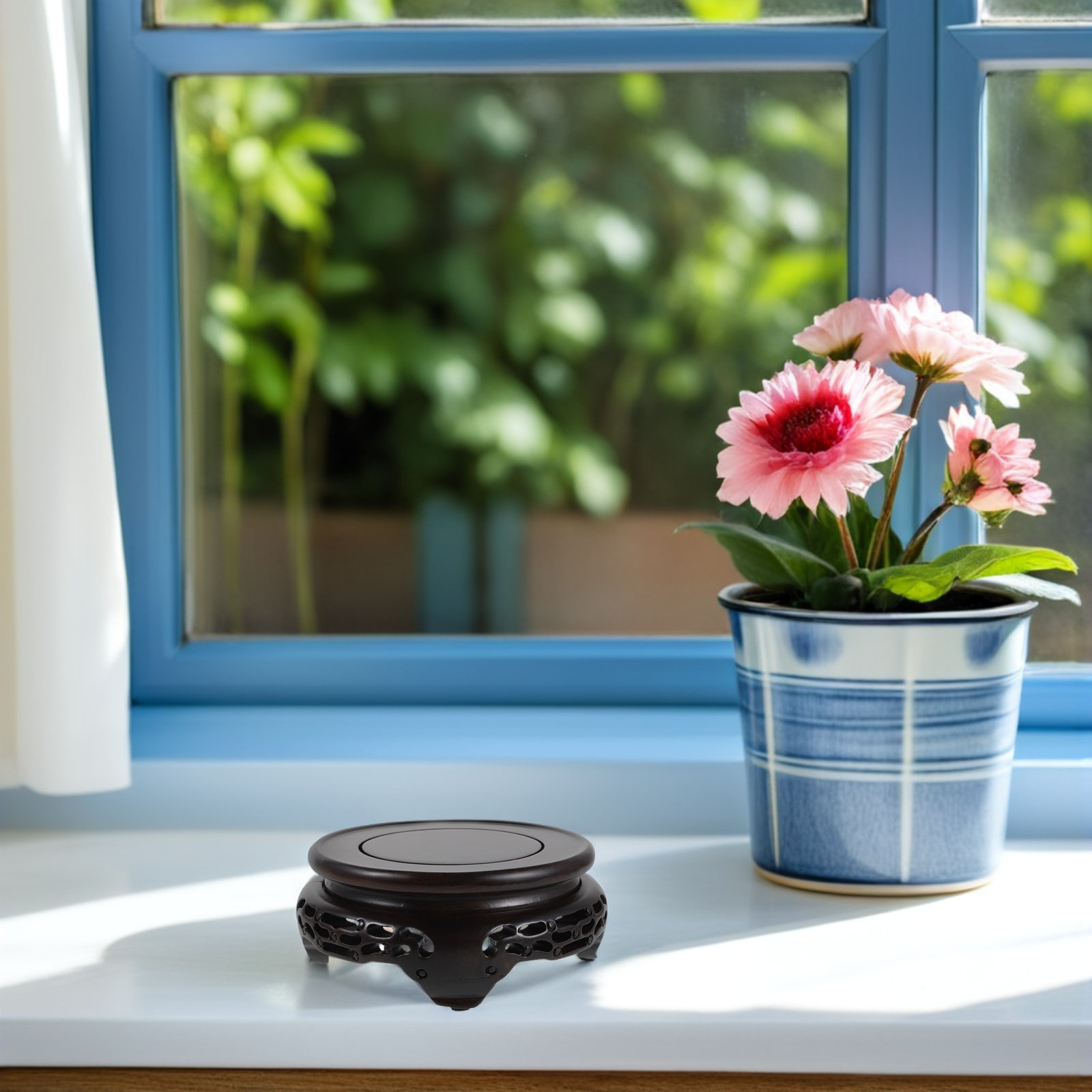 Soporte de exhibición para jar - Aquarium Plants reseña y precio